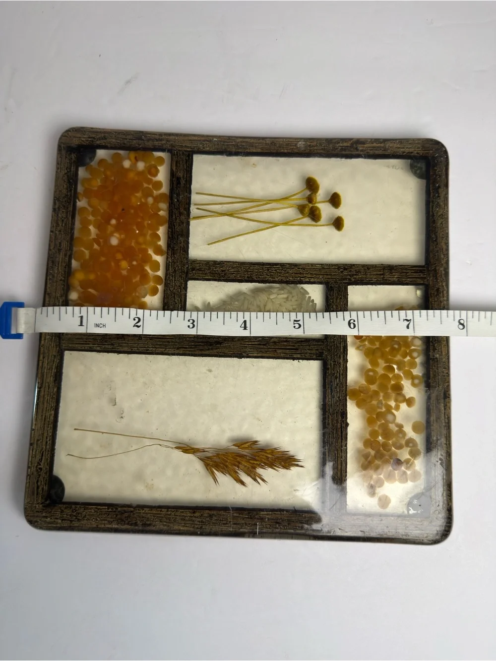 Botanical Glass Panel Wall Decor in Amber and Cream